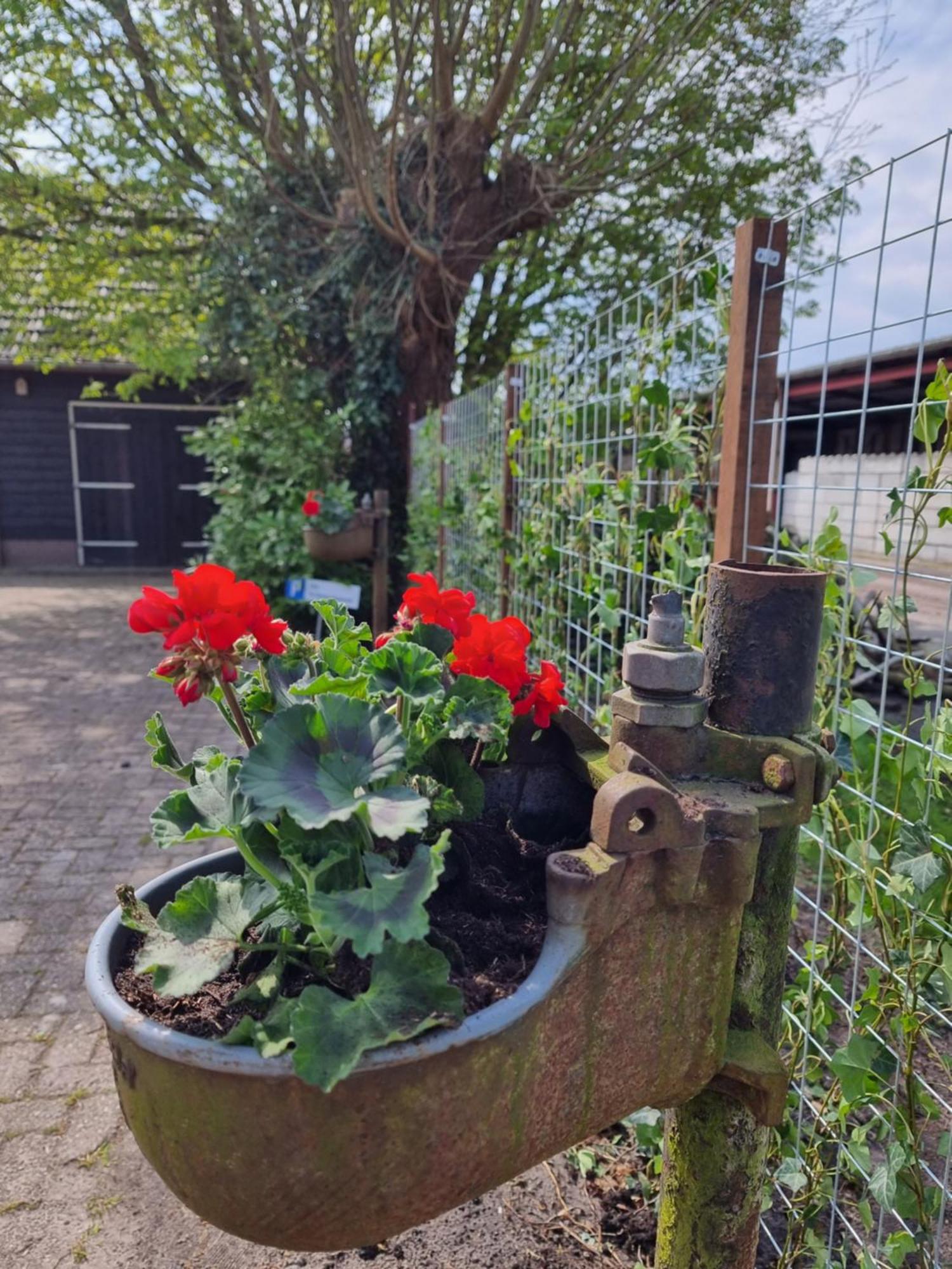 Bed and Breakfast De Schotse Hooglander Smilde Екстер'єр фото
